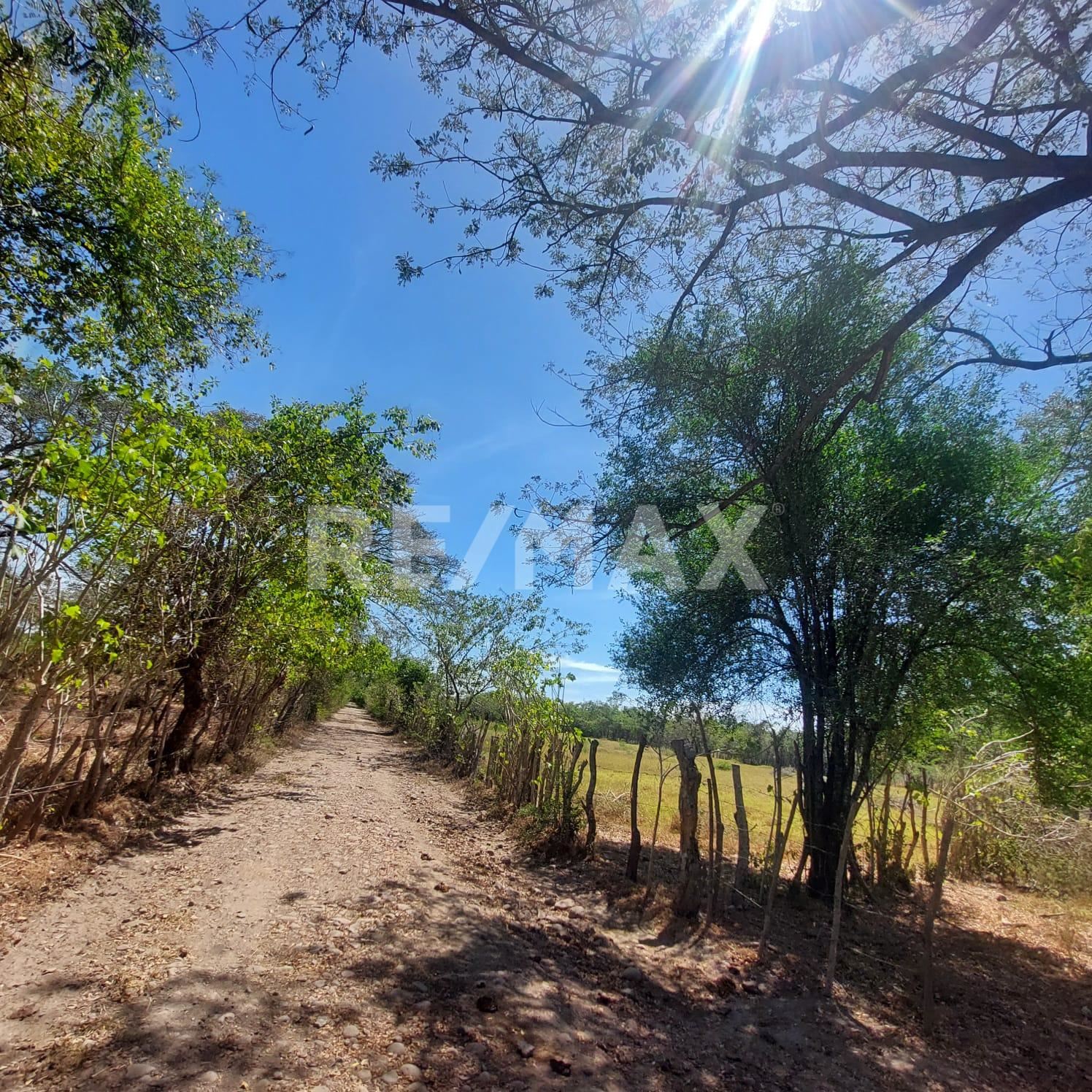 RE/MAX real estate, El Salvador, Tecoluca, EXCELLENT INVESTMENT OPPORTUNITY IN AGRICULTURAL LAND IN TECOLUCA